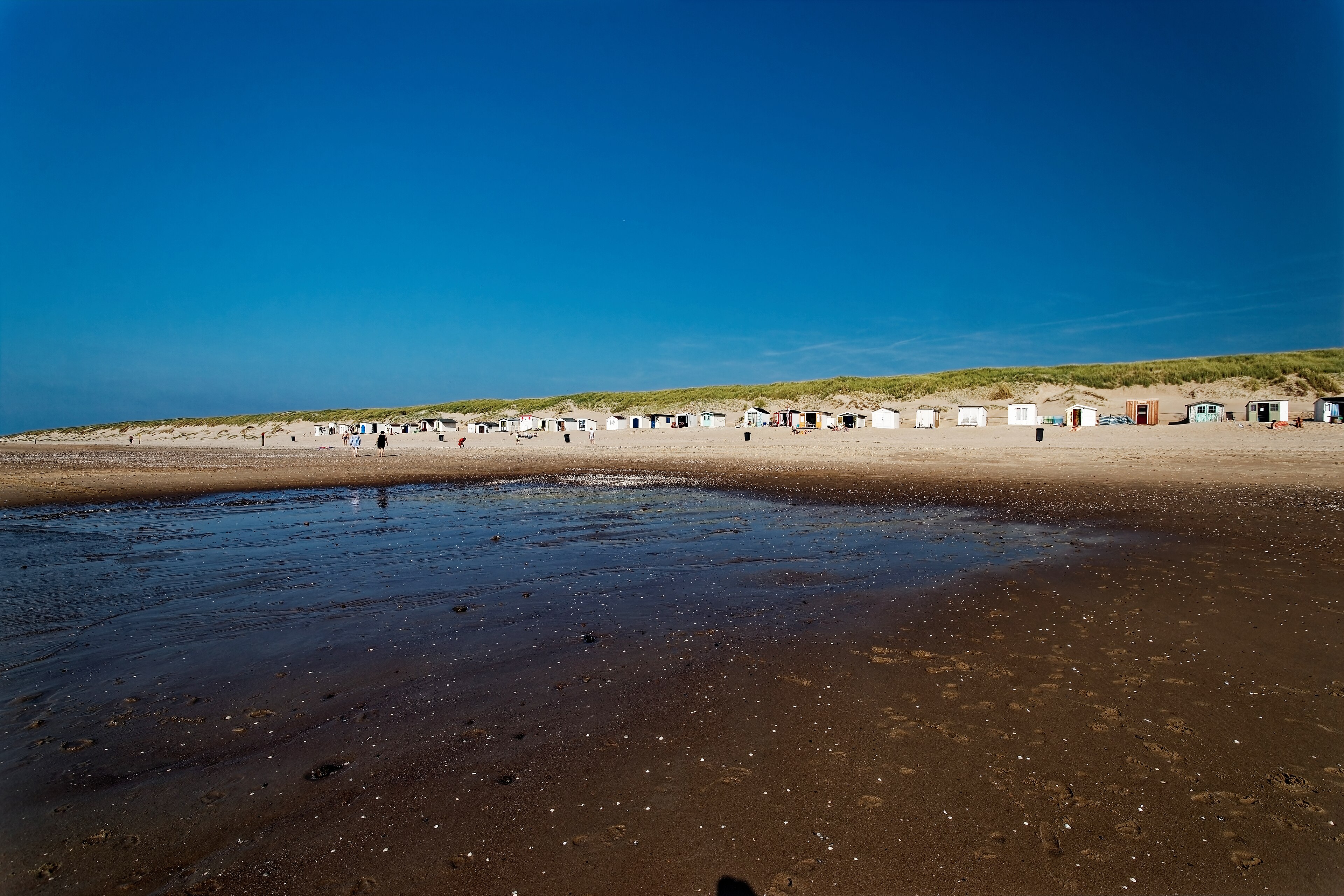 Duinen en gras aan de Nederlandse kust