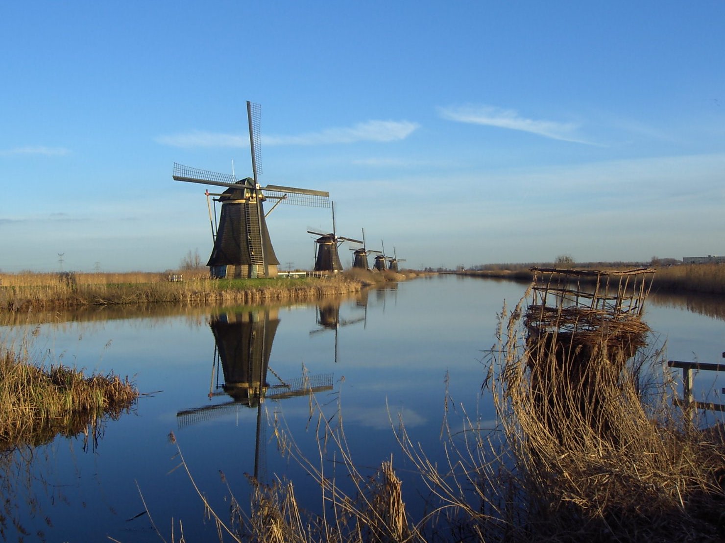 Molens en polderlandschap onder een wijde lucht
